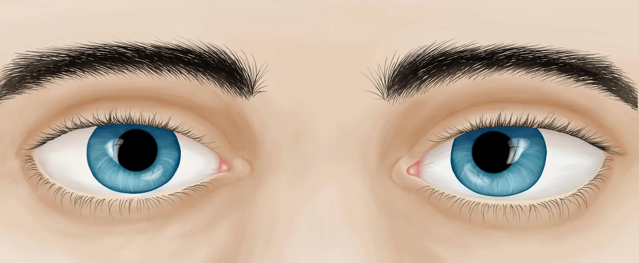 Eyes