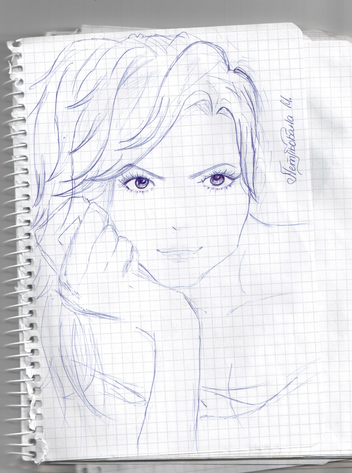 Disegno