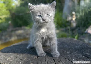 Клубочок щастя :)