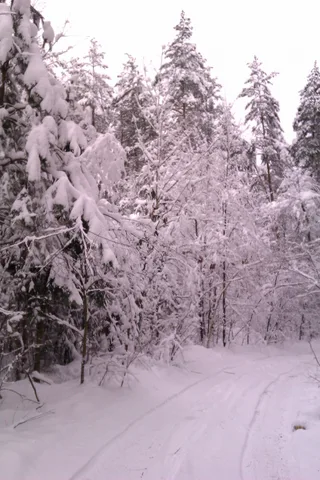 Зима 2012