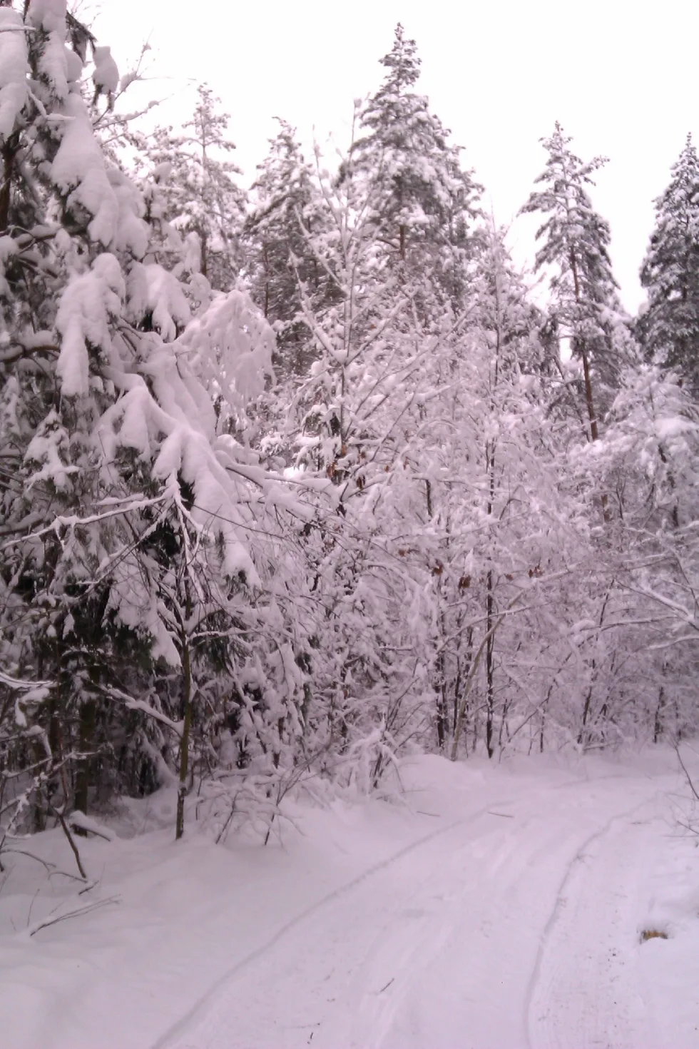Зима 2012