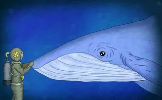 Whale