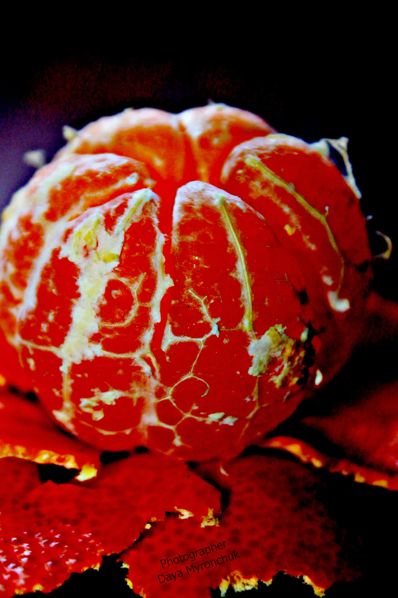 Фото