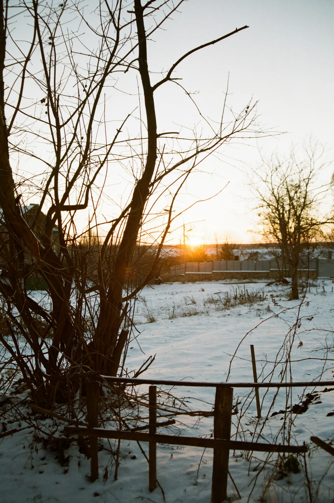 winter sunset