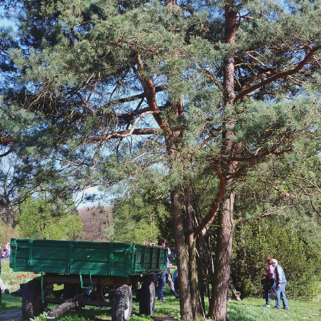 Ботанічний сад, Львів