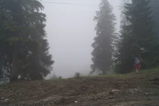 Драгобрат. Туман...