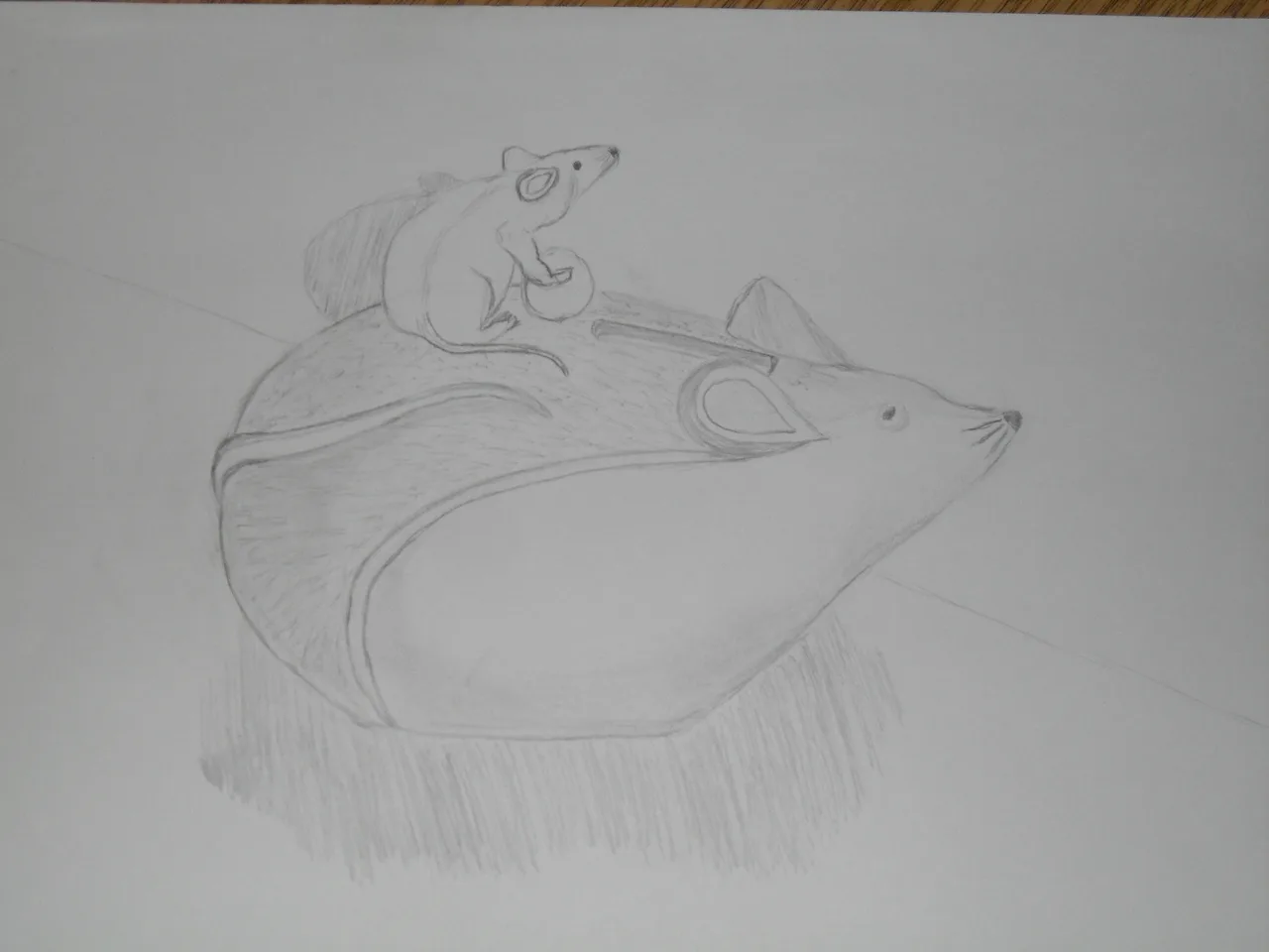 Disegno