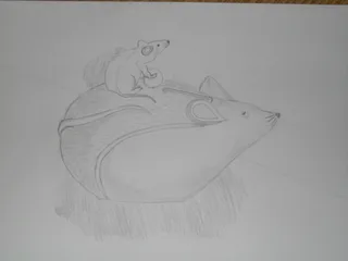 Dibujo