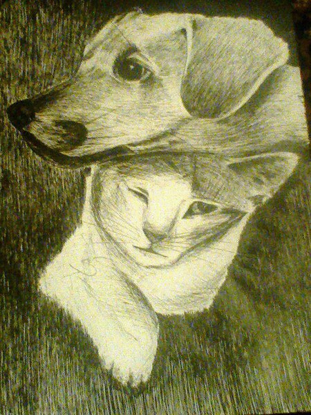 Dibujo