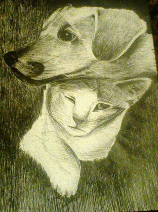 Disegno