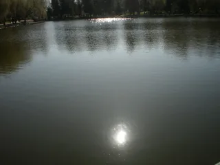 Fotó