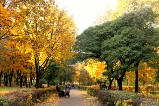 Пензлями осені