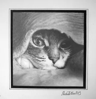 Котик