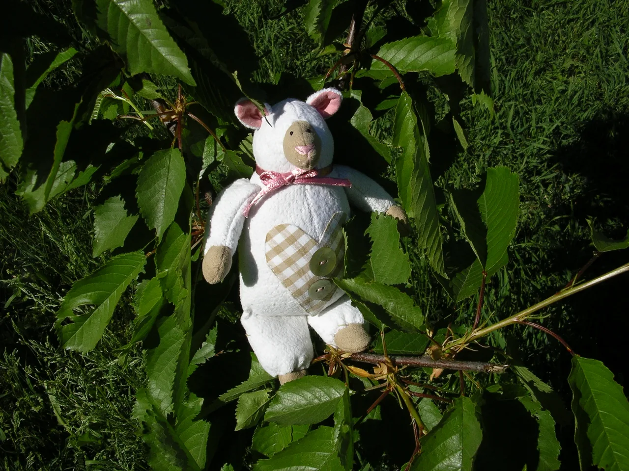 Artesanía
