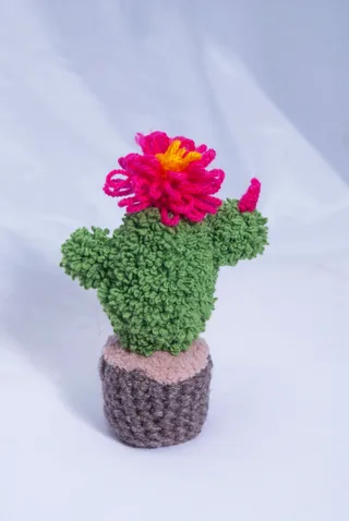 Кактус