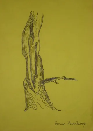 Zeichnung