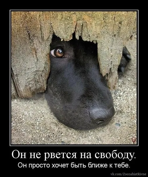 Фото 24 з 29