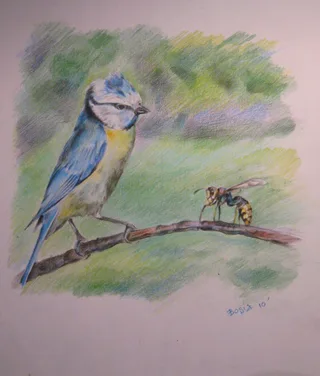 Zeichnung