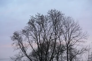 вечірні збори