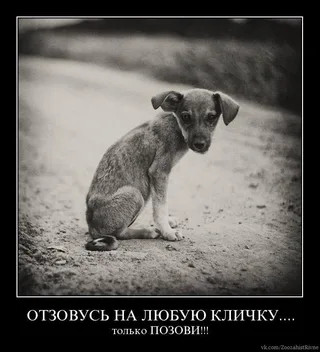 Apri la foto