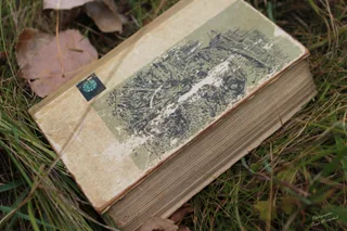 Foto
