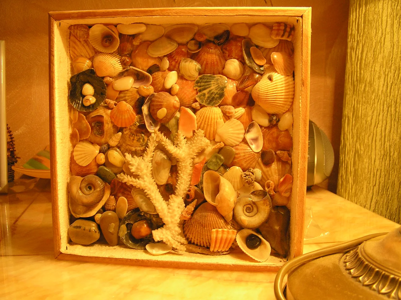 морське дно