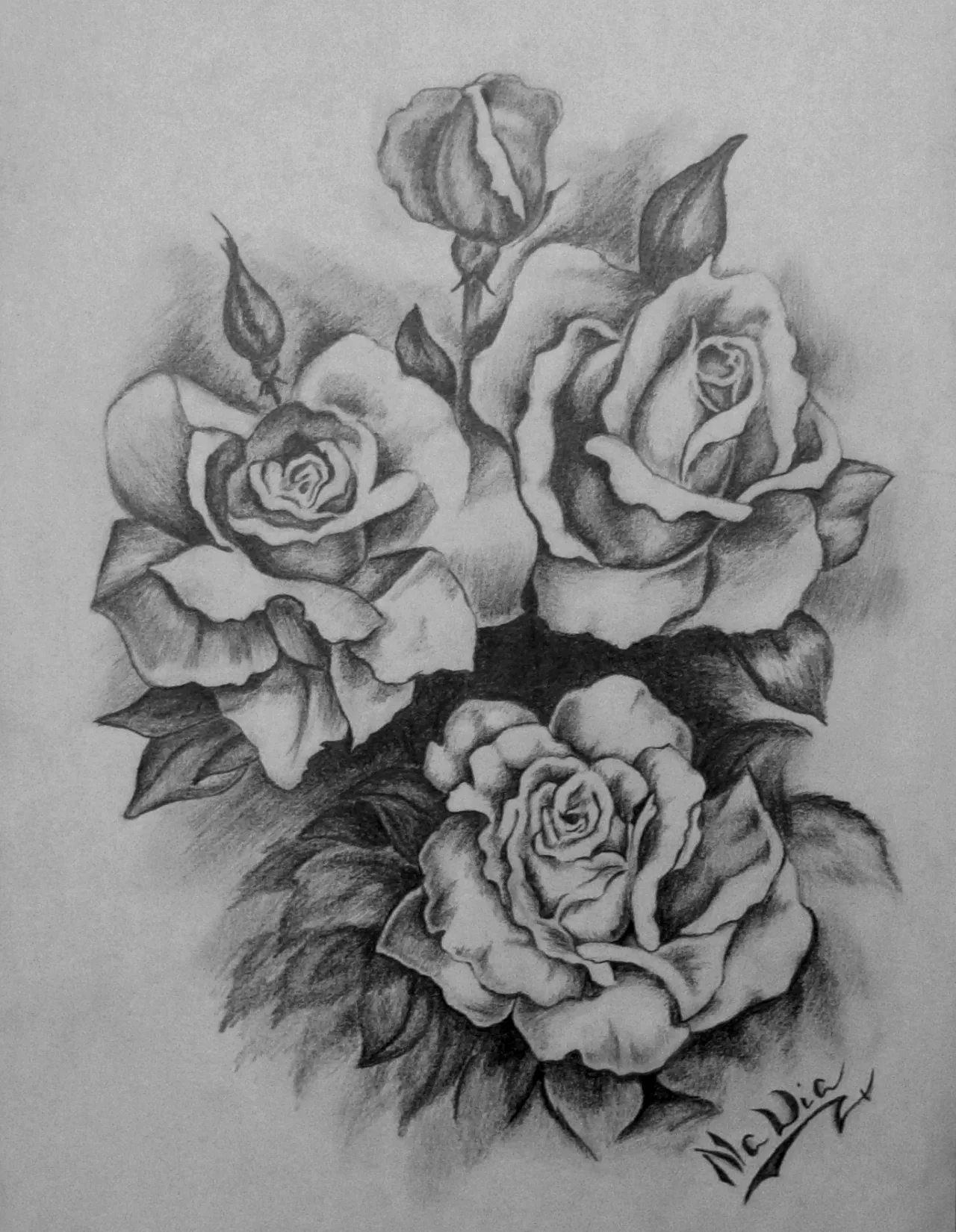 Disegno