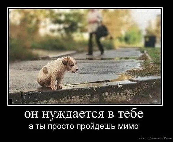 Фото 16 з 29
