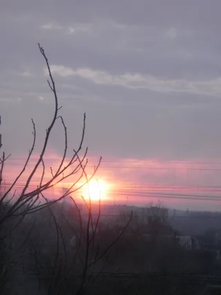 Fotó