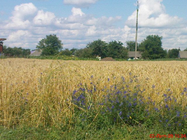 Україна