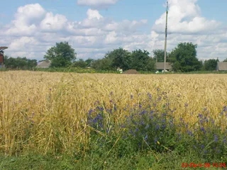 Україна