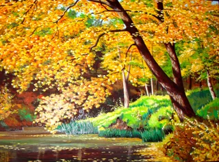 Disegno
