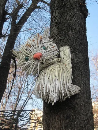 Киця