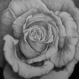 Disegno