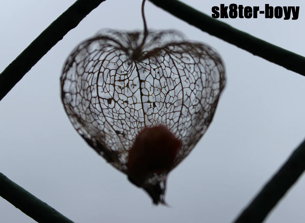символ кохання