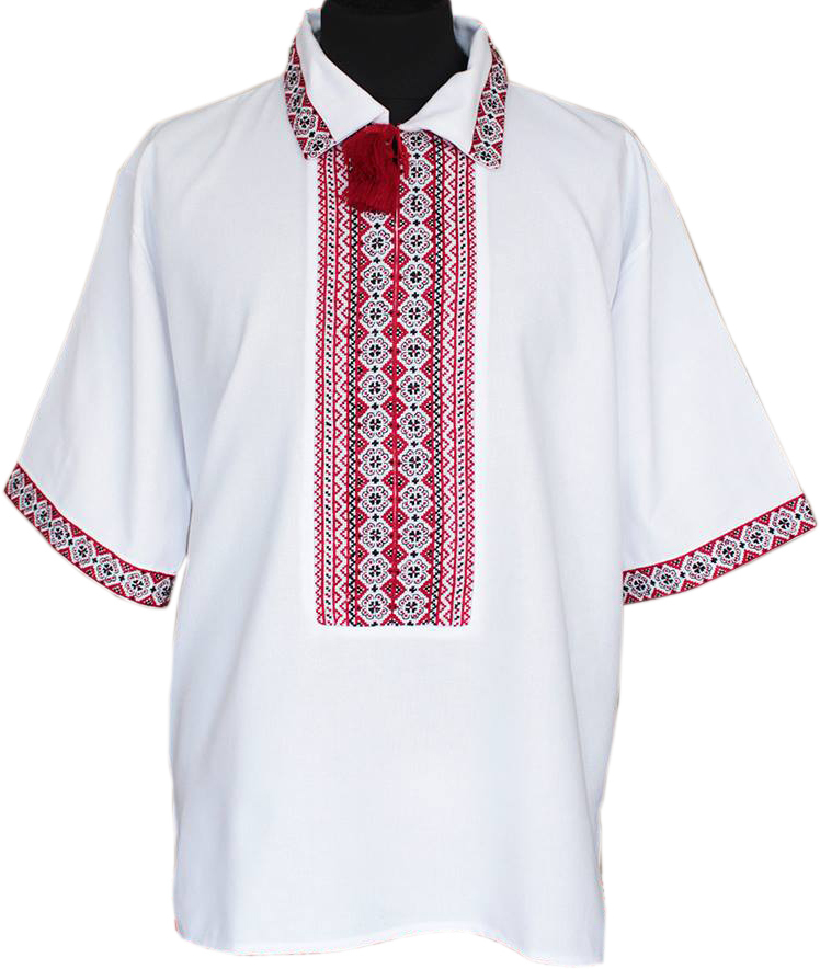вишиванка ручної роботи, чоловіча "Степівка" (Арт. 01280)