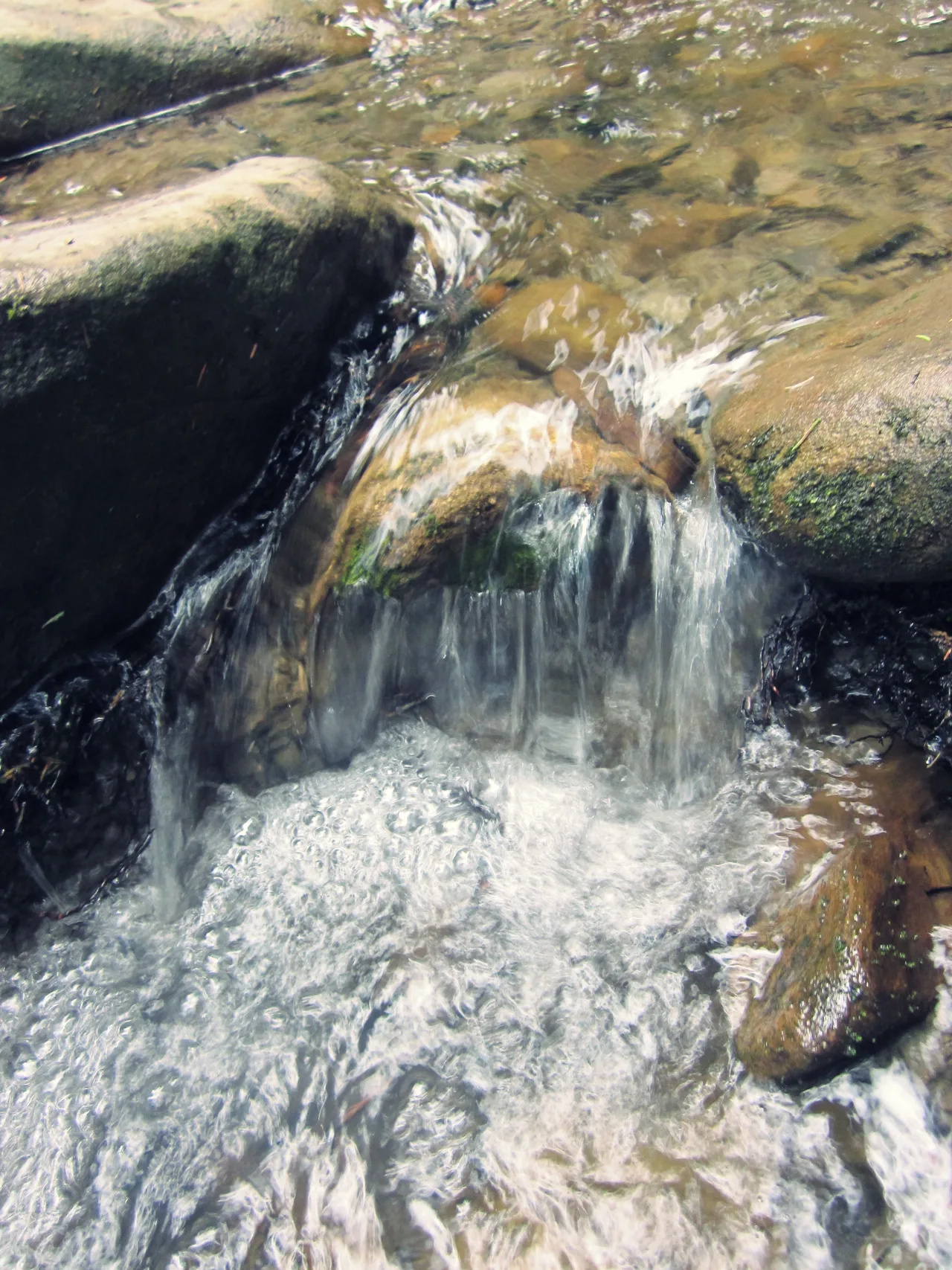 водичка)