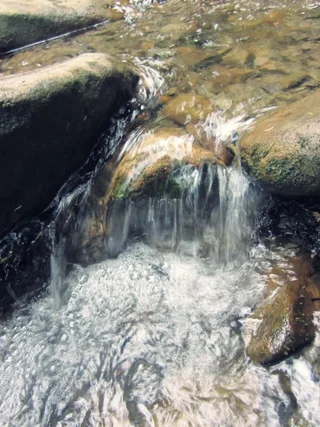 водичка)