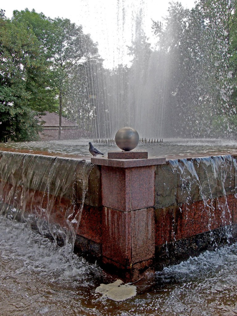 Голуб
