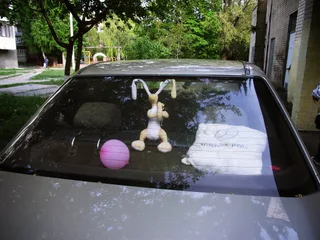 зайчик ))