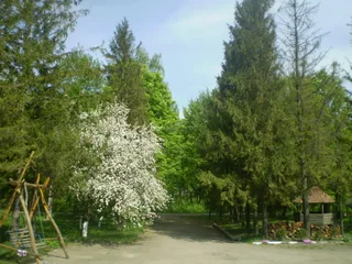 Вигляд з мого вікна, весна