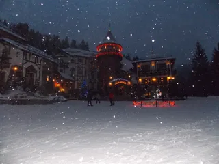 Вежа Ведмежа