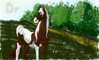 Computer graphics