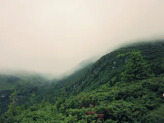 Карпати