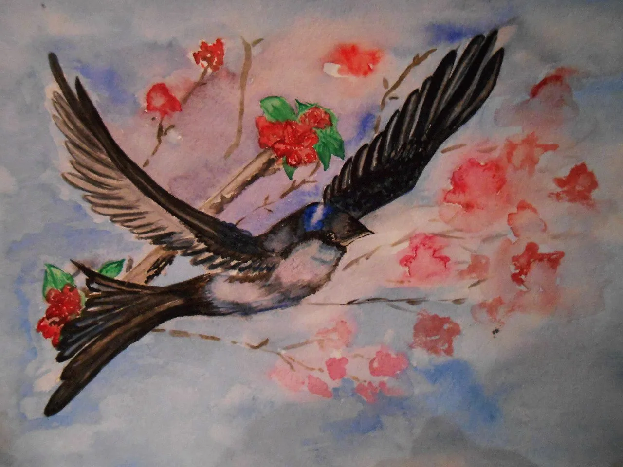 Disegno