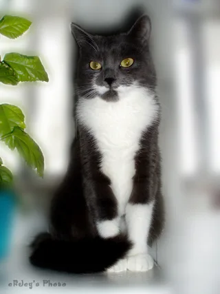 Margo