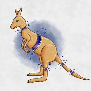 Kangaroo
