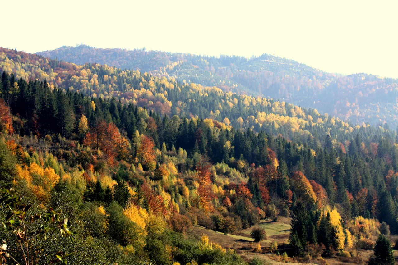 осінь