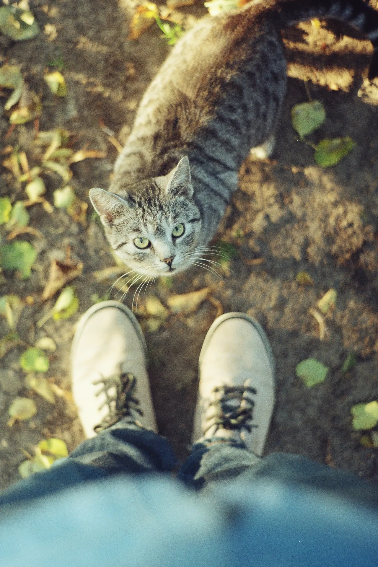my cat #2 ;)haha