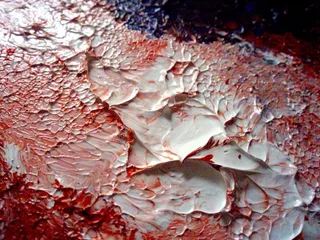 Disegno